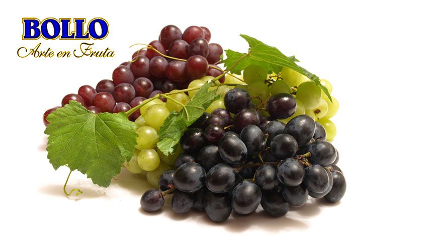 Grapes Bollo