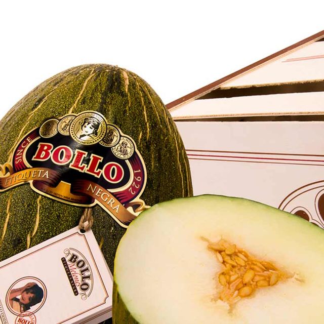 Melon Bollo