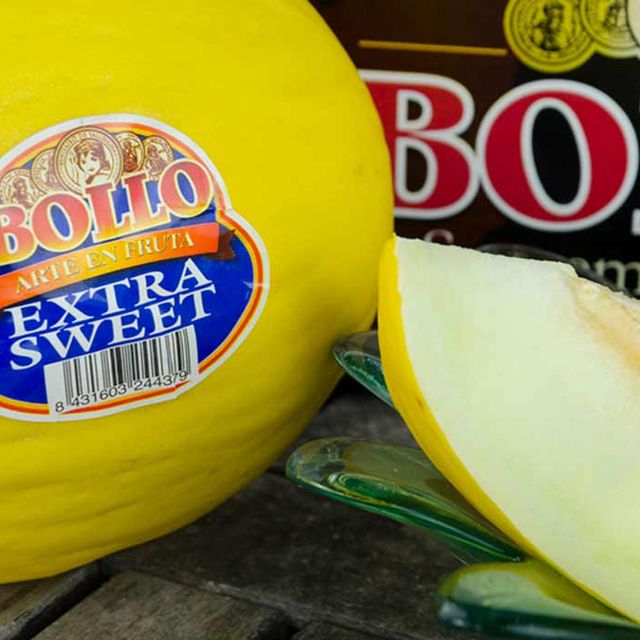 Melon 2 Bollo
