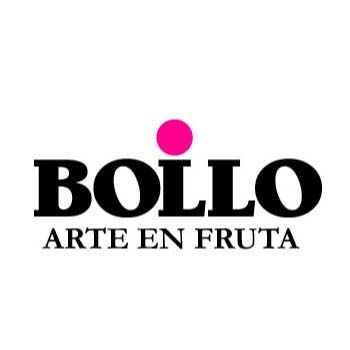 Bollo logo